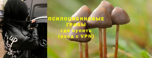 эйфоретик Алексин