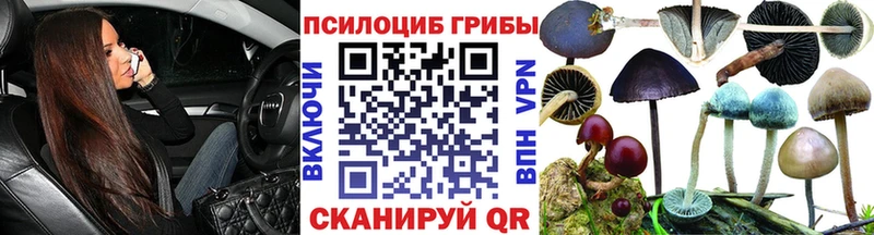 где продают наркотики  kraken ссылки  Галлюциногенные грибы Psilocybine cubensis  Юрьевец 